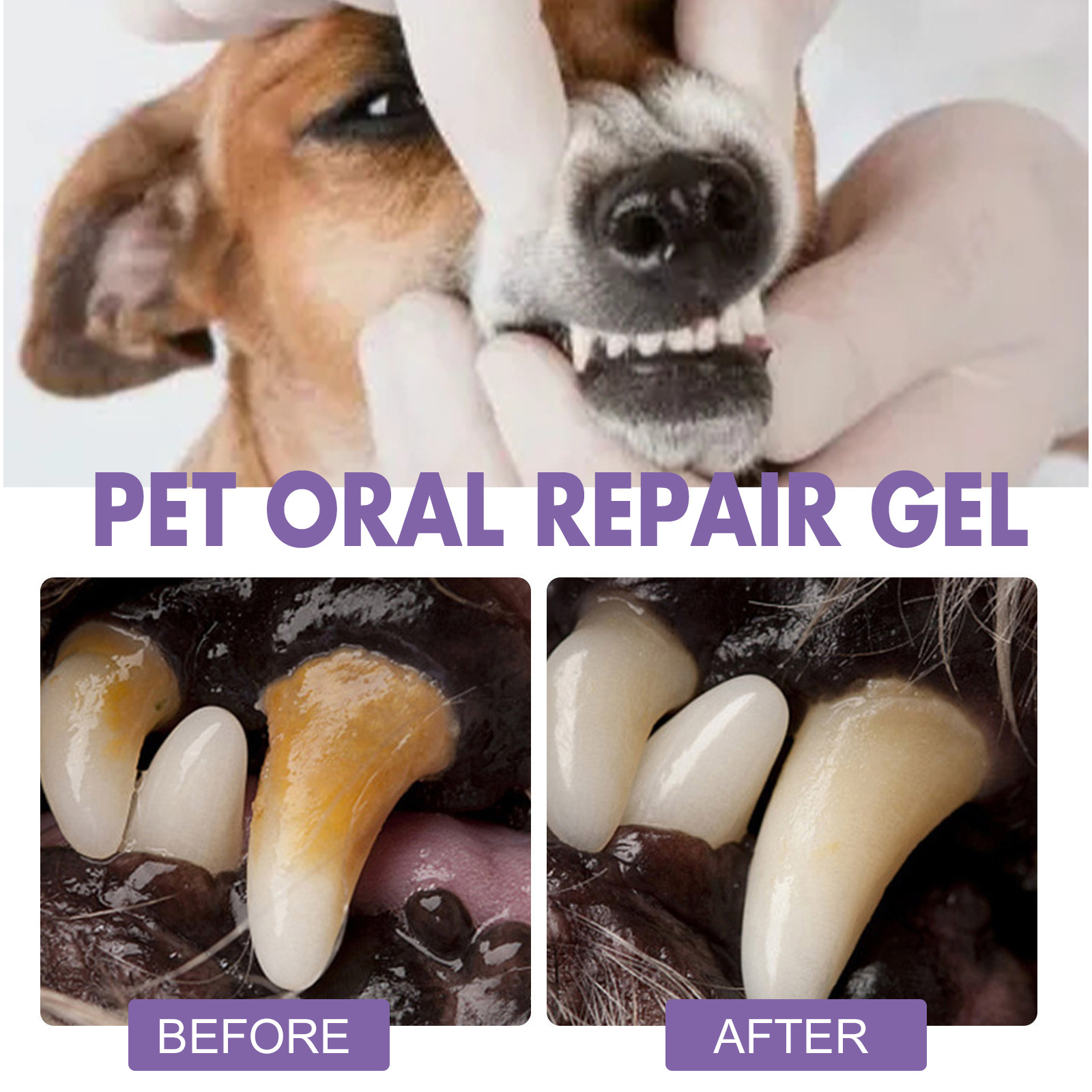Gel perbaikan mulut hewan peli - Teeth Whitening Gels ulasan dan harga